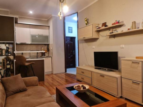 Jokanovic Apartment's